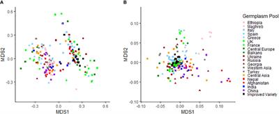 Genomic prediction and allele mining of agronomic and morphological traits in pea (Pisum sativum) germplasm collections